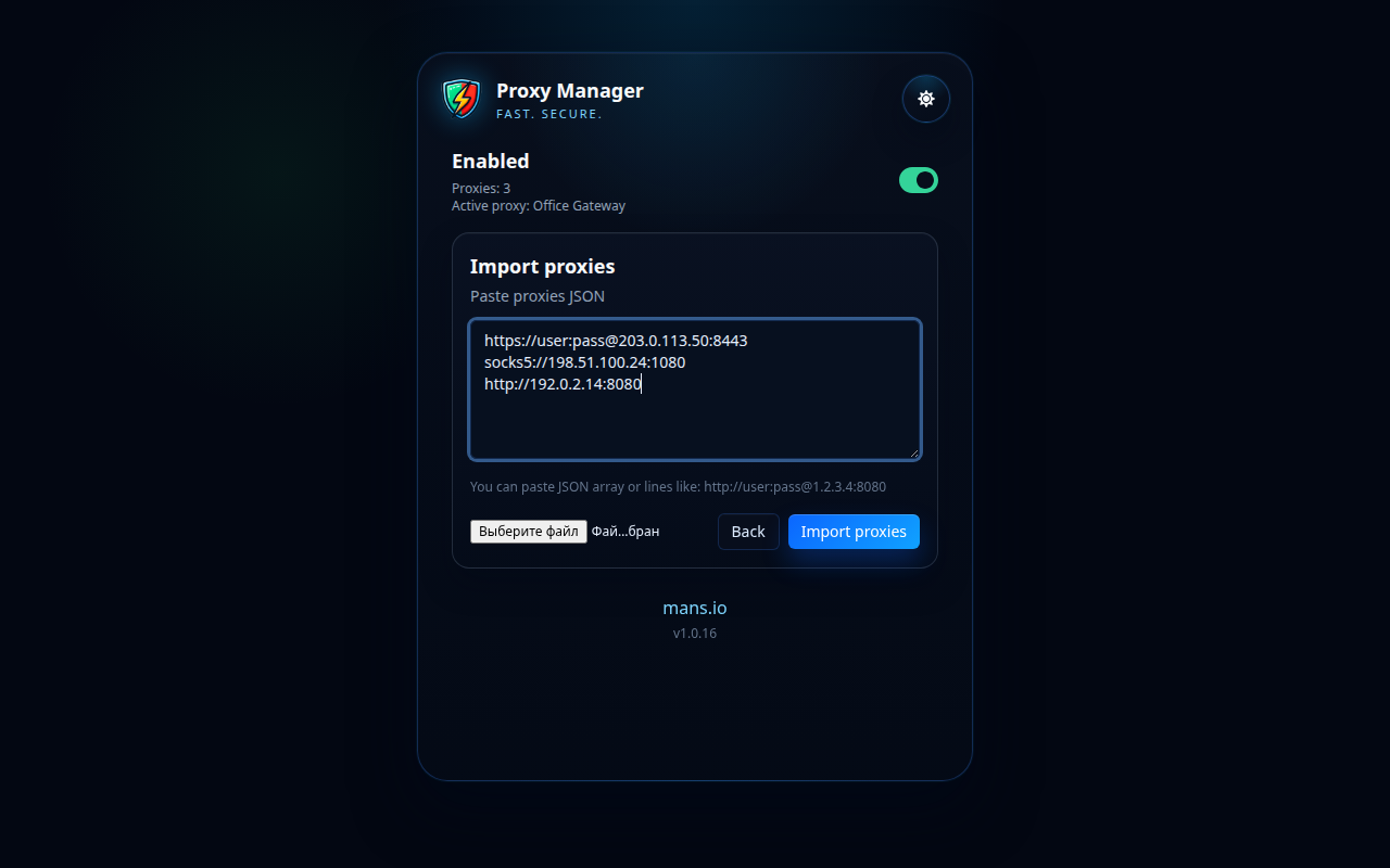 Proxy Manager idxal ekranı